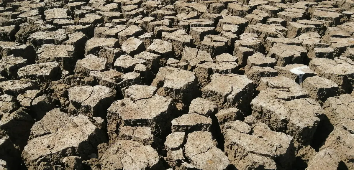 Dry riverbed ground cracked into dry, raised clay blocks under sunlight