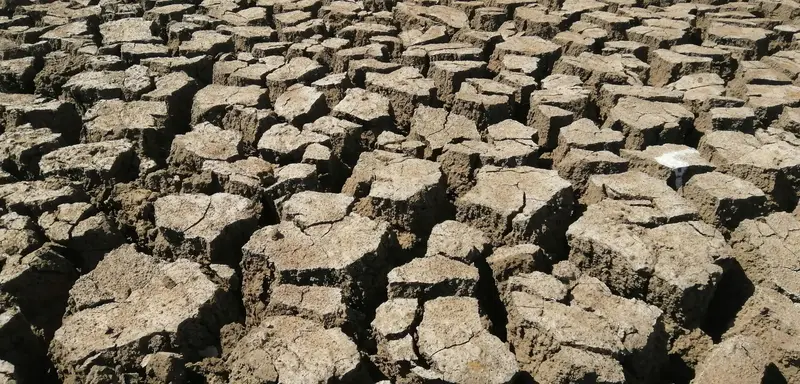Dry riverbed ground cracked into dry, raised clay blocks under sunlight