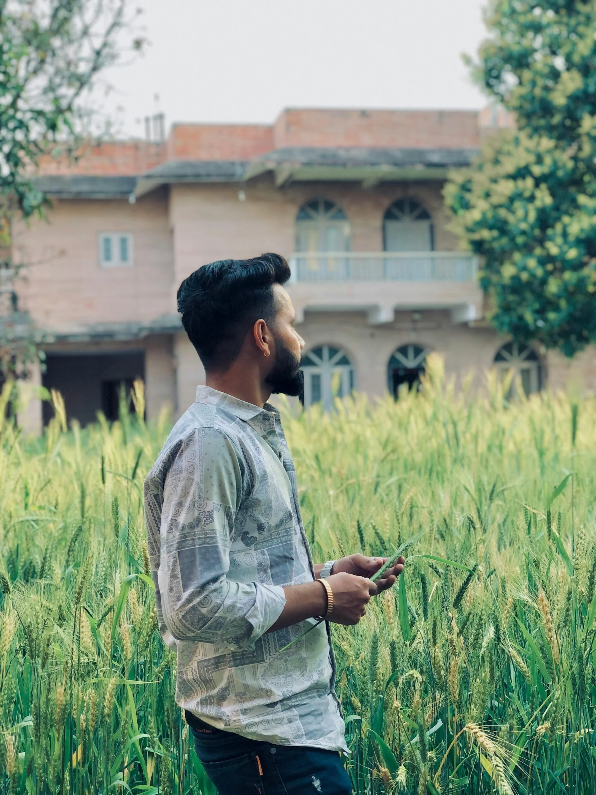 Bearded man in a patterned shirt standing in a wheat field holding a stalk, with a house behind him