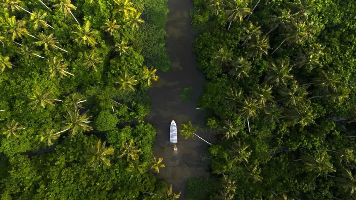 Aerial view of a small white boat on a narrow brown waterway between dense green palm trees