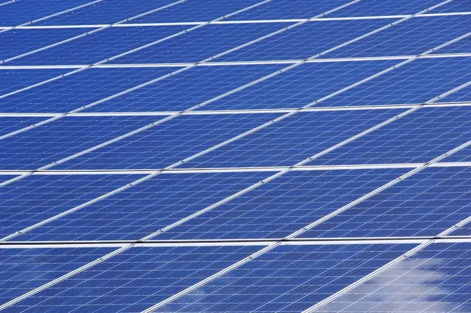Close-up of rows of blue solar panels filling the frame