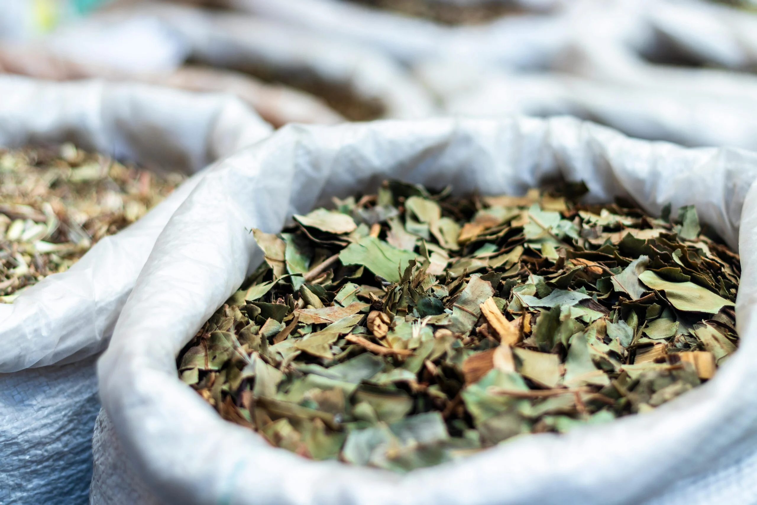 Open sack of dried medicinal leaves with other sacks of herbs blurred behind it
