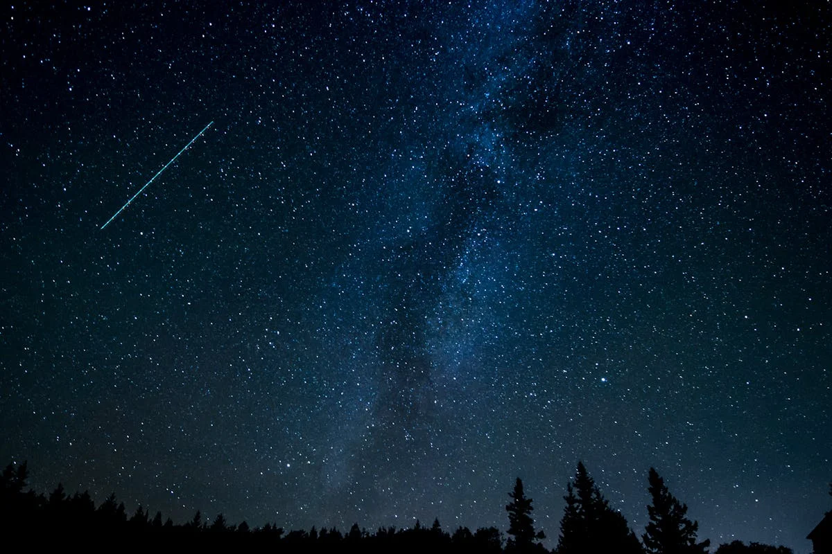 Night sky full of stars with the Milky Way, a meteor streak and tree silhouettes along the horizon