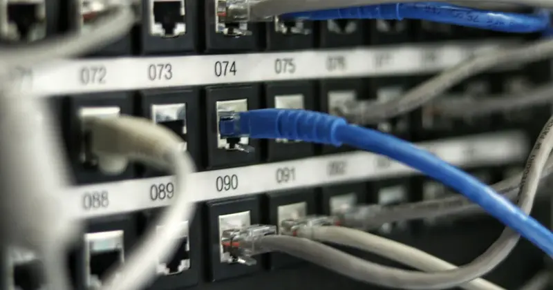Blue and grey network patch cables plugged into numbered ports on a server rack