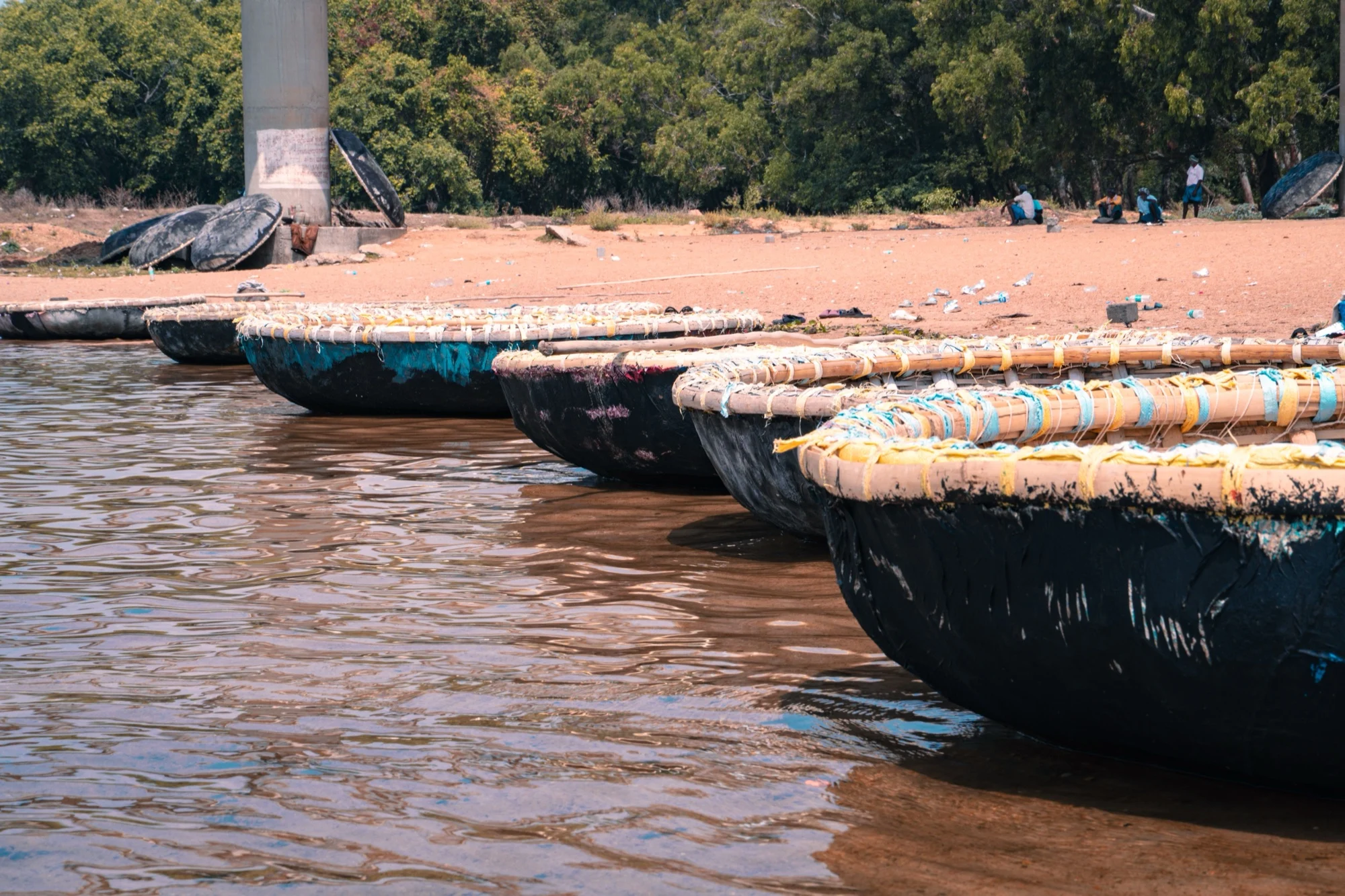 Round coracle boats lined up on the Kaveri riverbank near Mysuru, Karnataka