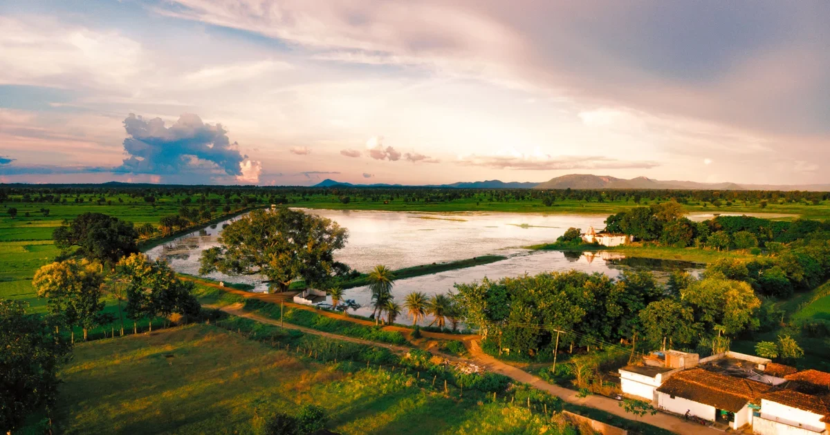 Aerial view of green farmland and a village waterbody in the Indian countryside at sunset