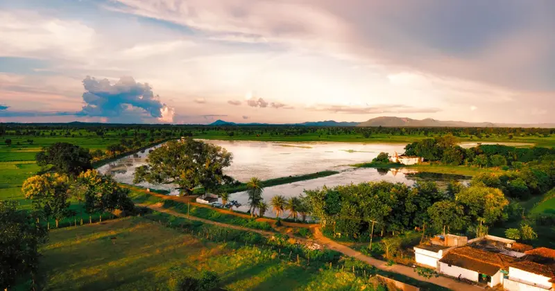 Aerial view of green farmland and a village waterbody in the Indian countryside at sunset