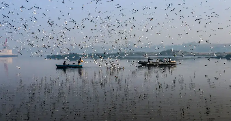 Birds fly over boats on the Yamuna River on a misty morning in New Delhi